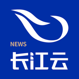 深入了解LD Official的市场定位与发展策略